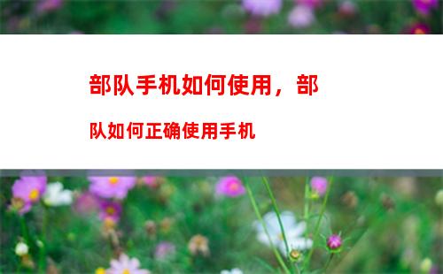 车辆违章如何绑定手机：车辆违章绑定手机号