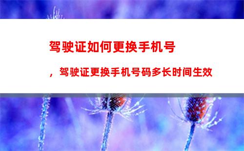 iphone如何传照片到新手机：iphone如何传照片到安卓手机