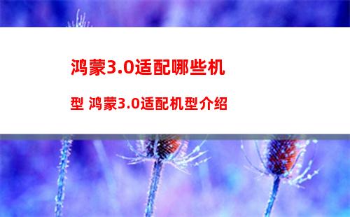 iPhone防尘抗水性能达到 IP68 级别可以放在水下拍照吗